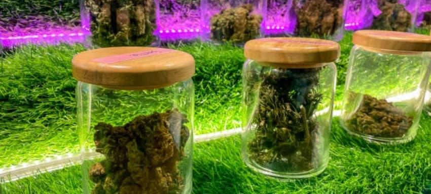 e-papierosy ile smok elektronik sigara avantajları ve seçim rehberi ile e-papierosy deneyiminizi geliştirin