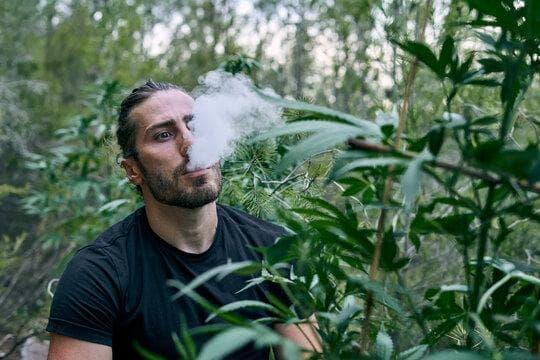 2026 Güncel Rehber – đá gà trực tiếp casino ve gt mesh coil için En İyi Taktikler ve Kazanma İpuçları